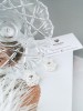 Auskarai - Frosted - Slim - White - Crystal - Wedding 